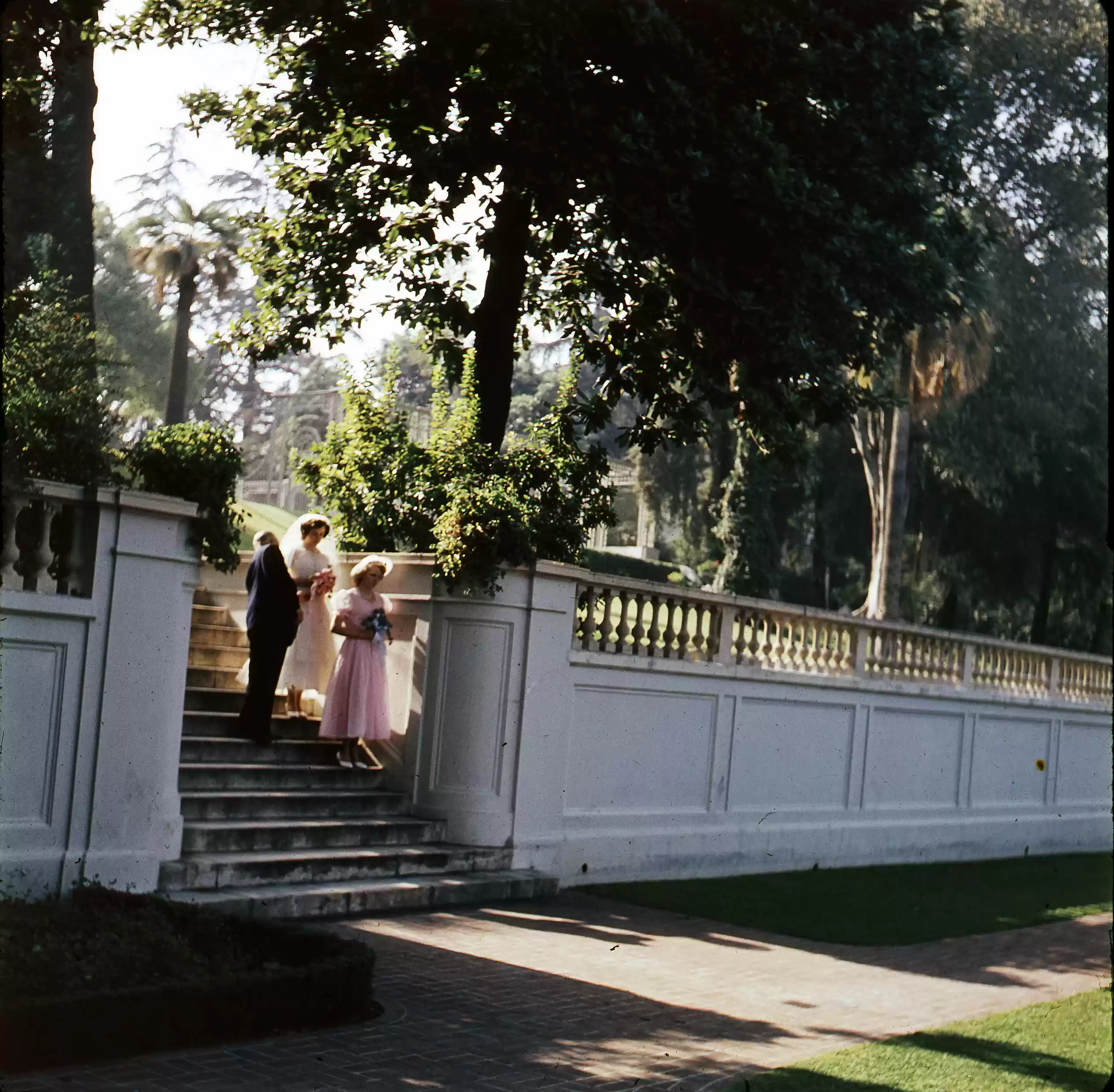 Lower Gardens Coles wedding 1953_0004